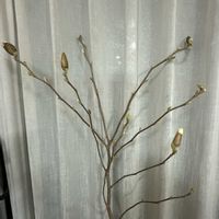 ネコヤナギの画像