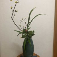 サンシュユ,シャガ,つばき,小原流,小品花の画像