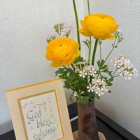 ラナンキュラス,シレネ サクラコマチ,いつもありがとう♡,生け花,花日記の画像