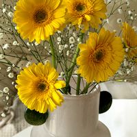 ガーベラ,カスミソウ,ビタミンカラー,癒し,元気いっぱいの画像