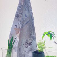 パキラ,ネギ,ネフロレピス,多肉植物,観葉植物の画像