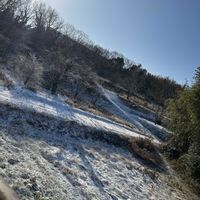 ストレプトカーパス,黒法師,ガガイモ,今朝の雪景色,アエオニウム／Hの画像