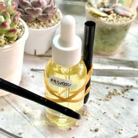 神奈川タニラー,多肉男子の画像