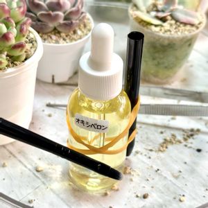 神奈川タニラー,多肉男子の画像