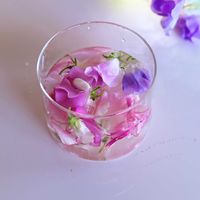 スイートピー,リビング・ダイニングの画像