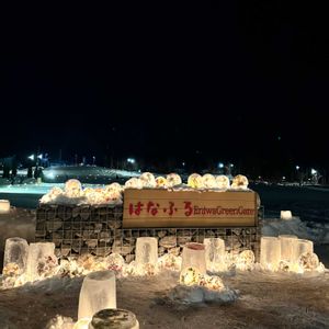 ドライフラワー,北海道,冬を楽しむ,冬の風景,北海道からの画像