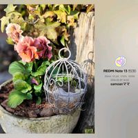 ꒰ღ˘◡˘ற꒱かわゅ~,花のある暮らし,雑貨好き♡,うっとり,いつも、いいね!ありがとうございます(*´`)♡の画像