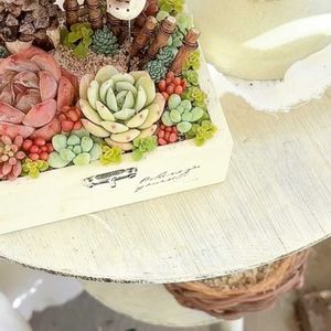 多肉,多肉植物,ベランダガーデン,植物のある暮らし,多肉植物のある暮らしの画像