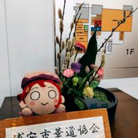 ユキヤナギの葉の紅葉した部分生け花につかいますが、、,生け花。,いけばな 生け花,自分のフラワーアレンジメント,八幡宮の中心には生け花の画像