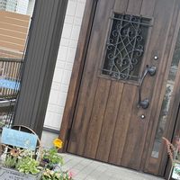 グレビレア,プリムラ,ラナンキュラス,ナチュラルガーデン,冬を楽しむの画像