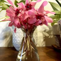 シクラメン,花瓶,窓際の画像