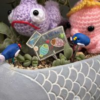 オーロラ,葉牡丹,碧魚連,ビオラ・ももか,紫太陽の画像