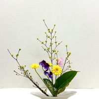 ガーベラ,サンシュユ,スイートピー,生け花,池坊の画像