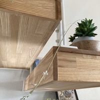 ハオルチア,ハオルチア,多肉植物,ハオルチア属,ユリ科の画像