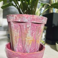 ミニガーベラ,リメイク鉢,スリット鉢,seria,スリット鉢リメイクの画像