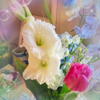 グラジオラス,デルフィニウム,花のある暮らし,GSに感謝。,わんこと暮らすの画像