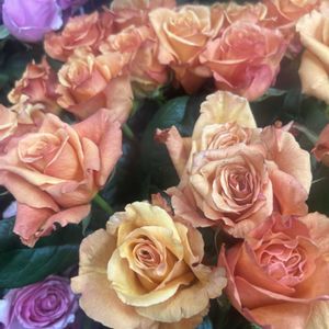 薔薇,薔薇,鮮やか ,カラフル,花屋の画像