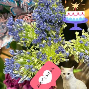 アリウム,アリウム,アリウム　ブルーパフューム,リメ缶,お誕生日おめでとうの画像