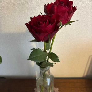 バラ,カレンダー♡,赤いバラ,切り花を楽しむ,切りバラの画像