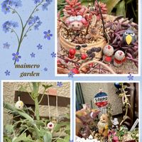 ルビーネックレス,七宝樹,パーティードレス,ﾁｮﾝﾏｹﾞﾋﾟｰﾀﾝ,7cエケベリアの画像