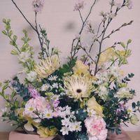 カーネーション,カーネーション,カーネーション,ガーベラ,ガーベラの画像