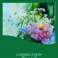 ストック,ストック,マトリカリア,マトリカリア,花のある暮らし♡の画像