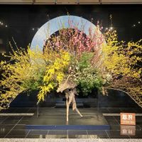 オンシジウム,アセビ（馬酔木）,ユキヤナギ（雪柳）,レンギョウ（連翹）,ハナモモ(花桃)の画像