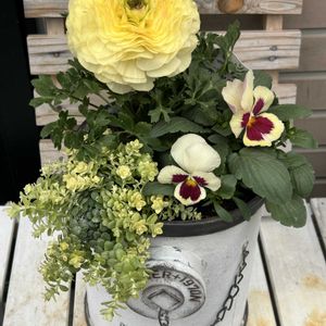 ラナンキュラス,ビオラ,寄せ植え,自己流ガーデニング,玄関アプローチの画像