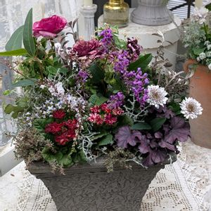 寄せ植え,ベランダガーデニング,私好み♡,綺麗✨✨,華やか✨の画像