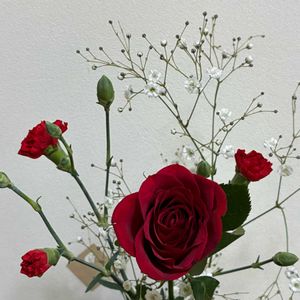 カーネーション,カスミソウ,バラ,誕生日,赤いお花の画像
