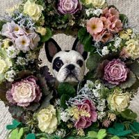 アリッサム,ビオラ,ミニ葉牡丹,プリムラ　ジュリアン,リースの画像