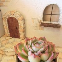  シルエット,多肉植物,DIY,多肉大好き,ガーデニングの画像