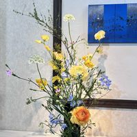 アリッサム,スイートピー,スイートピー,スイセン,ナデシコの画像