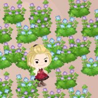 オオイヌノフグリ,ガジュマル,胡蝶蘭,デンドロビューム,アボカド鉢植えの画像