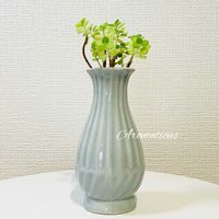 アロマティカス,アロマ ティカス,多肉植物,切り花,室内組の画像