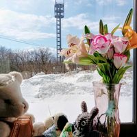 外は雪が積もってる,窓辺の画像