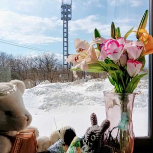 外は雪が積もってる,窓辺の画像