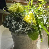 寄せ植え,ガーデニング,カラーリーフ,ベランダの画像