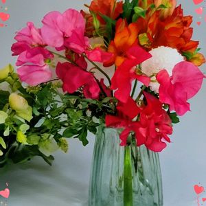 アルストロメリア,シクラメン,スイートピー,ピンポンマム,プレゼント花束の画像