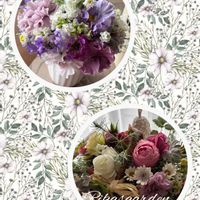 スイセン,スイセン,マーガレット,マーガレット,リナリアの画像