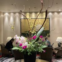 カーネーション,シンビジウム,ドラセナ,アセビ（馬酔木）,サンシユの画像