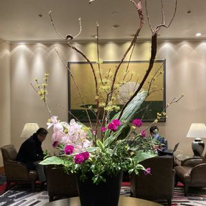 カーネーション,シンビジウム,ドラセナ,アセビ（馬酔木）,サンシユの画像