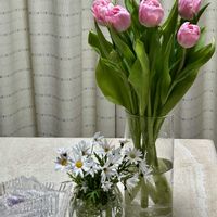 チューリップの画像