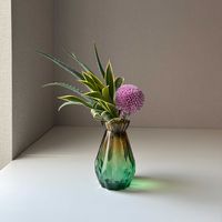 アロエ,キク,ドラセナソングオブインディア,いけばな,草月流の画像