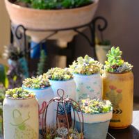 ベランダガーデニング,自作リメ缶,癒し…♡,可愛い❤,自作リメ鉢の画像