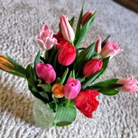 ガーベラ,チューリップ,大好き,感謝,誕生日プレゼントの画像