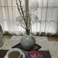 オレガノ,カリブラコア,葉牡丹,ラベーンダー,アリッサム、ジユリアンの画像