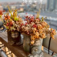 多肉植物,多肉植物寄せ植え,多肉寄せ植え,リメ鉢,多肉植物のある暮らしの画像
