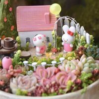 多肉,多肉,多肉植物 寄せ植え,多肉植物 寄せ植え,箱庭の画像