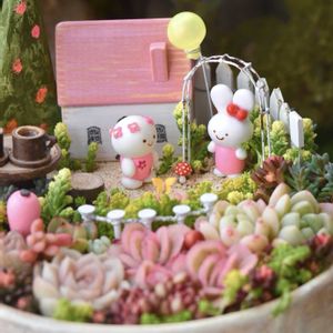 多肉,多肉,多肉植物 寄せ植え,多肉植物 寄せ植え,箱庭の画像